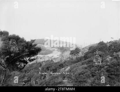 Landschaft in Titirangi, mit einheimischem Busch, Blick auf Titirangi von einem hohen Aussichtspunkt. In der Mitte befindet sich ein Haus auf einem Hügel mit einer Straße, die zu ihm durch gerötete einheimische Wälder in den frühen 1900er Jahren führt Stockfoto