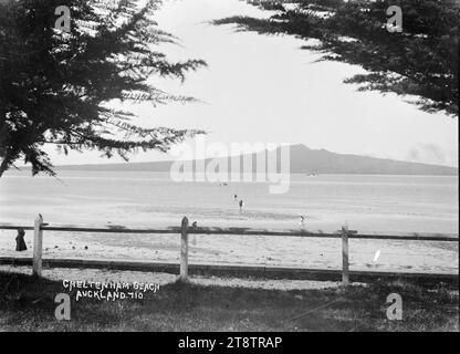 Blick auf Rangitoto Island von Cheltenham Beach, Auckland, Neuseeland, Blick auf Rangitoto Island, eingerahmt zwischen zwei Bäumen, hinter einem Zaun und mit Blick auf Cheltenham Beach. Man kann am Strand und am Wasserrand ca. 1908 Menschen sehen Stockfoto