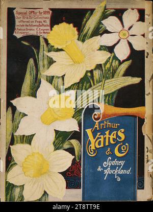 Arthur Yates & Co. Ltd, Auckland, Neuseeland: Narzissen. Yates' Kindergarten-Katalog. 1899. Auf der Rückseite sind vier Narzissen zu sehen. Das Sonderangebot für 1899 beinhaltete den Verkauf folgender Narzissen: Poeticus ornatus, Kaiser, Kaiserin, Sir Watkin Stockfoto