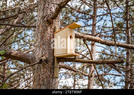 Vogelhaus, Holzhaus für Vögel, auf Baum zwischen Ästen im Wald, selektiver Fokus. Stockfoto