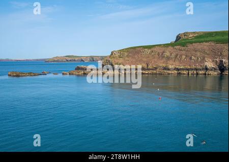 Blick vom North Harbour auf Skomer Island, Pembrokeshire, Wales, mit Blick über die St. Brides Bay in Richtung Festland. Stockfoto