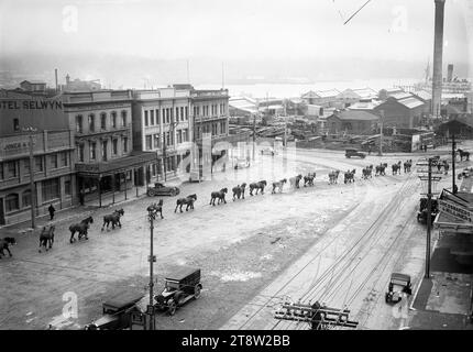 Prozession von Clydesdale-Pferden auf Cambridge Terrace, Wellington, Neuseeland, ca. 1920er Jahre Stockfoto