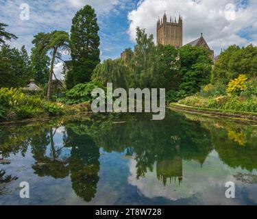 Sie werden auf dem Gelände des Bischofspalastes in Wells, Somerset England, Vereinigtes Königreich, gezeigt, wie sich die Kathedrale in einem der Pools im Wells Garden spiegelt Stockfoto