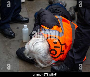London, Großbritannien. November 2023. Stoppen Sie die Ölprotestierenden in Whitehall, wo sie anfangen zu protestieren und verhaftet werden. Credit: Richard Lincoln/Alamy Live News Stockfoto