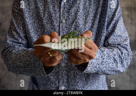 Konkurs Geld ohne Grenzen ausgeben Schulden Steuern Euro in den Händen eines Mannes Stockfoto