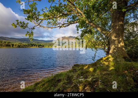 Loch Achray und Ben Austragungsort in den Trossachs, Stirling, Schottland Stockfoto