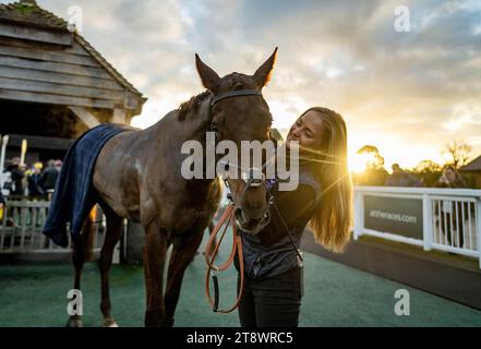 Pferderennsport auf der Plumpton Racecourse, Sussex, Großbritannien. Stockfoto