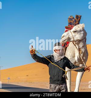 Saoura, Algerien - 28. Dezember 2022: Ein tuareg-Mann geht und posiert mit seinem weißen Dromedarkamel, das mit rotem Stoffsattel verziert ist, in der Sahara mit Sanddünen und blauem Himmel im Hintergrund. Stockfoto