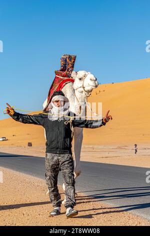 Saoura, Algerien - 28. Dezember 2022: Ein tuareg-Mann geht und posiert mit seinem weißen Dromedarkamel, das mit rotem Stoffsattel verziert ist, in der Sahara mit Sanddünen und blauem Himmel im Hintergrund. Stockfoto