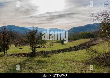 Moody natürliche Landschaft an einem bewölkten Tag mit gepflügten Feldern, Wiesen und Bäumen mit goldfarbenen Blättern Stockfoto