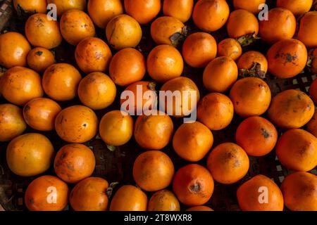 Reife orangefarbene Persimmonen. Auf dem Tisch auf dem Markt. Ein Haufen Bio-Persimmon-Früchte auf einem lokalen Bauernmarkt in Dalat, Vietnam. Persimmon BA Stockfoto