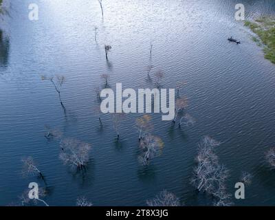 Aus der Vogelperspektive auf dem Tuyen Lam See in Dalat, Vietnam, wunderschöne Landschaft für Öko-Reisen in Vietnam, fantastischer See zwischen Kiefernwäldern, Boot auf Wasser Stockfoto