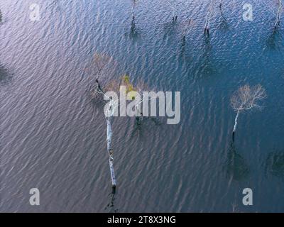 Aus der Vogelperspektive auf dem Tuyen Lam See in Dalat, Vietnam, wunderschöne Landschaft für Öko-Reisen in Vietnam, fantastischer See zwischen Kiefernwäldern, Boot auf Wasser Stockfoto