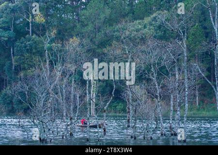 Aus der Vogelperspektive auf dem Tuyen Lam See in Dalat, Vietnam, wunderschöne Landschaft für Öko-Reisen in Vietnam, fantastischer See zwischen Kiefernwäldern, Boot auf Wasser Stockfoto