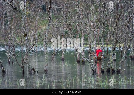 Aus der Vogelperspektive auf dem Tuyen Lam See in Dalat, Vietnam, wunderschöne Landschaft für Öko-Reisen in Vietnam, fantastischer See zwischen Kiefernwäldern, Boot auf Wasser Stockfoto