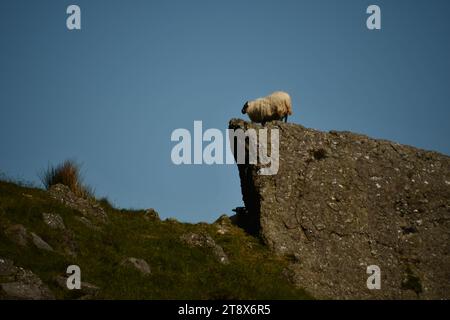 Coumshingaun Corrie Lake und die Umgebung der Comeragh Mountains Stockfoto