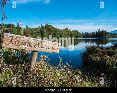Weitwinkelblick am Schwaltenweiher in Bayern im Sommer unter blauem Himmel mit geschnitztem Holzschild und der Aufschrift No Dogs! Stockfoto