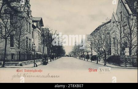 18., Weimarer Straße (ehemals Carl-Ludwig-Straße) - General, Ansichtskarte, Carl (Karl) Ledermann jun., Produzent, Datum um 1898, Karton, Kollotype, Höhe x Breite 9 x 14 cm, 18. Bezirk: Währing, Straße, Villa, mit Menschen, Die Wiener Sammlung Stockfoto