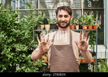 Glücklicher bärtiger Gärtner in Schürze, der seine schmutzigen Hände zeigt, nachdem er mit Pflanzen und Erde gearbeitet hat Stockfoto