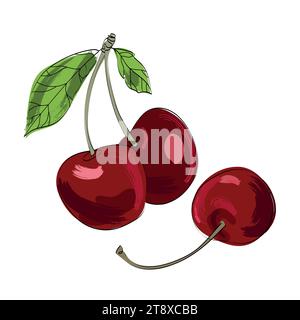 Cherry Zeichentrickskizze isolierte Vektorillustration. Vektorgrafiken. Künstlerische Gestaltung natürlicher Banner. Handgezeichnetes Kirschbeermuster. Stock Vektor