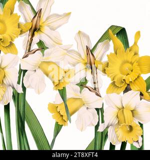 Digitale, florale Aquarellatmosphäre auf strukturiertem weiß. Farbenfrohes Blumendesign, perfekt für coole kreative Projekte. Ideal für quadratische Formate. Stockfoto