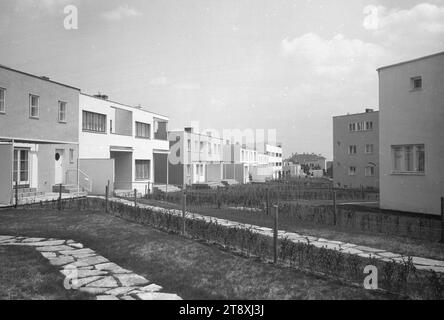 Werkbundsiedlung, Haus 25-38, 45-46 (Veitingergasse), Gartenseite, Martin Gerlach jun. (1879-1944), Fotograf, 1932, Glas, negativ, Höhe 17,8 cm, Breite 23,8 cm, Architektur, Rotes Wien, Ausstellungen, 13. Bezirk: Hietzing, das übliche Haus oder eine Reihe von Häusern, Garten, Flachbau, Mietshaus, Sammlung Wien Stockfoto