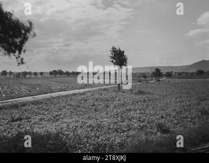 Panorama des Donautals in Richtung Kahlenberg (22. Und 19. Bezirk), Martin Gerlach jun. (1879-1944), Fotograf, datiert um 1938-1940, Glas, negativ, Höhe 17,8 cm, Breite 23,7 cm, Donau, Stadtplanung und -Entwicklung, 19. Bezirk: Döbling, 22. Bezirk: Donaustadt, Landschaften, Sammlung Wien Stockfoto