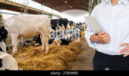 Investitionen in die Landwirtschaft. Bankdarlehen für Landwirtschaft und Landwirtschaft. Frau mit digitalem Tablet in den Händen, stehend auf der Viehzucht vor der Co Stockfoto
