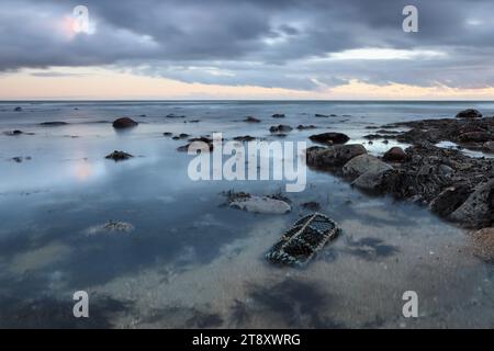 Hummertopf in Dawn Light am Kingsbarns Beach, Fife, Ostküste Schottlands, Großbritannien Stockfoto