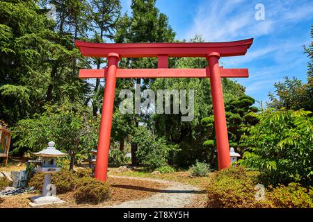 Rotes Torii-Tor im Japanischen Garten mit Steinlaternen, die den Weg an den Gärten am Merritt-See säumen Stockfoto
