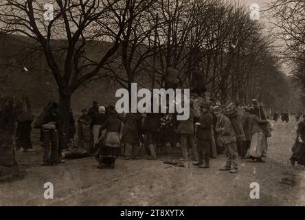 Entfernung des Wienerwaldes während des Brennholzbedarfs in Wien, Richard Hauffe (1878-1933), Fotograf, 1919, Fotografie, Wienerwald, Die Wiener Sammlung Stockfoto