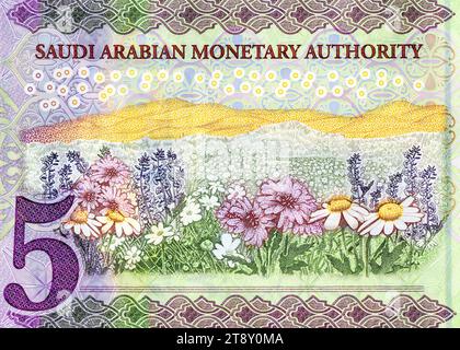 Fragment der Rückseite mit Blumenfeld der Polymer-5-SAR-fünf-Saudi-Arabien-Riyals-Banknote Stockfoto