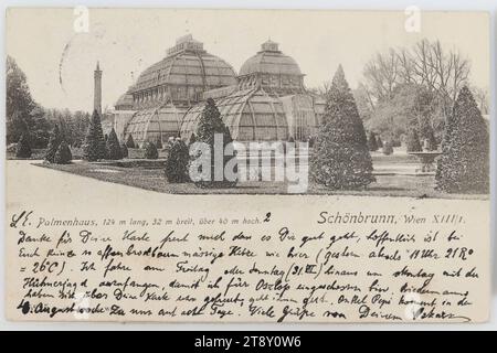 13., Schlosspark Schönbrunn - Palmenhaus, Ansichtskarte, Carl (Karl) Ledermann jun., Produzent, 1904, Karton, Kollotypie, Inschrift, AUS Wien, NACH, Fondo am Mendel (Südtirol), ADRESSE, Hotel Post, Fondo am Mendel, Südtirol, NACHRICHT, L E. 2, vielen Dank für Ihre Karte, ich bin froh, dass es Ihnen gut geht, ich hoffe, es ist nicht so heiß wie hier (gestern Abend 11 Uhr 21 R = 26 °C). Ich fahre Freitag oder Sonntag (31 VII) ab, um Montag mit der Hühnerjagd zu beginnen, also werde ich für Oszlop erschossen. Biedermanns freute sich sehr über Ihre Karte Stockfoto