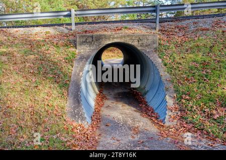 Ein gepflasterter Wanderweg, der an einem sonnigen Herbsttag durch einen runden, galvanisierten Tunnel unter einer befahrenen Straße in einem Park mit herabfallenden Blättern auf dem Boden führt Stockfoto