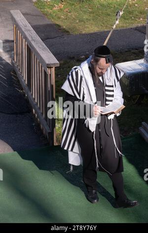 Ein orthodoxer jüdischer Mann, der einen tallis (Gebetschal) und Tefillin (Phylakterie) trägt, rezitiert im Rockland County, New York, Morgengebete im Freien. Stockfoto