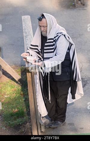 Ein orthodoxer jüdischer Mann, der einen tallis (Gebetschal) und Tefillin (Phylakterie) trägt, rezitiert im Rockland County, New York, Morgengebete im Freien. Stockfoto