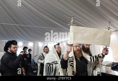 Nach einem Wochentag erhebt die Thora, die ein orthodoxer Jude liest, die Thora, weil alle, die die Briefe sehen, gesegnet sind. Im Rockland County, New York. Stockfoto