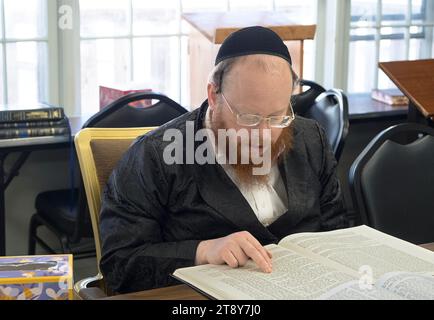 Ein orthodoxer Rabbiner mit rotem Bart unterrichtet eine kleine Erwachsene Klasse im jüdischen Recht. Im Rockland County, New York. Stockfoto