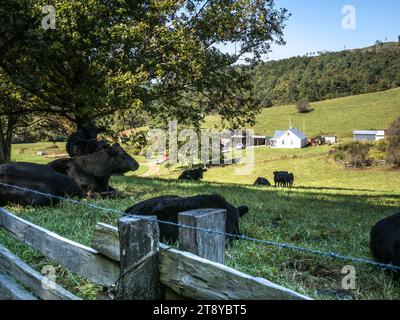 Farm am Blue Ridge Parkway, North Carolina, USA Stockfoto