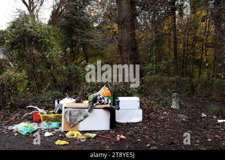 Berlin - Deutschland. Am Waldrand illegaler Vertreiber Müll. *** 18 11 2023, Berlin, Deutschland. November 2023. Illegal entsorgte Abfälle am Waldrand Credit: Imago/Alamy Live News Stockfoto