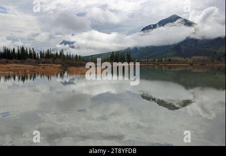 Die Bäume, Wolken und Sulphur Mountain - Vermilion Lake, Kanada Stockfoto