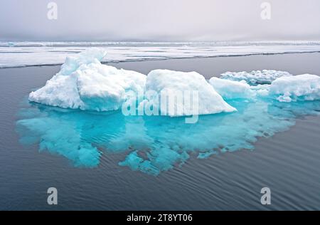 Schwimmende Eisberge auf dem Pack Ice nahe dem Nordpol. Stockfoto