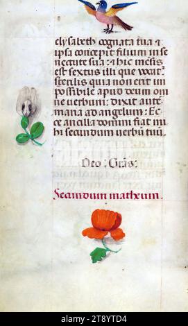 Buch der Stunden, dieses Manuskript wurde um ca. 1500 in Brügge oder Gent und wurde von dem Meister der Gebetsbücher, dem Meister des Dresdner Gebetsbuches und dem Meister der David-Szenen im Grimanischen Breviar beeinflusst. Es wurde wahrscheinlich für eine Mäzene mit franziskanischer Affinität geschaffen, wie es der Inhalt des Kalenders vermuten lässt. Das Buch ist stark beleuchtet mit 19 Miniaturen, Marginalien auf Seiten ohne Miniaturen und 24 Kalenderbeleuchtungen, wobei letztere Tierkreiszeichen mit Illustrationen der Arbeiten des Monats umfassen Stockfoto