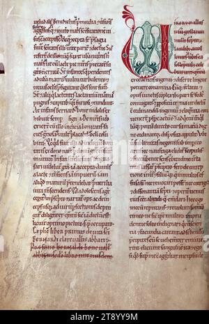 Die Handschrift, die im Zisterzienserkloster in Himmerode (Deutschland) entstanden ist, ist eine Zusammenstellung mehrerer Texte aus dem späten 12. Oder frühen 13. Jahrhundert. Der erste und dritte Text, Wilhelm von St. Thierrys Leben in St. Bernard' und Hugh von St. Victors „über die Wehklagen Jeremias“ sind zeitgenössisch, wurden aber separat geschrieben und dann zusammengebunden. Ein dritter Text, Jacques de Vitry's Life of St. Marie d’Oignies wurde später zwischen ihnen eingefügt Stockfoto