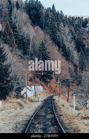 Eisenbahnschienen fahren im Herbst in die Ferne in den Karpaten Stockfoto