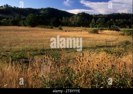 Grass Rangeland im South Umpqua River Valley, Myrtle Creek Canyonville Scenic Historic Tour Route, Oregon Stockfoto