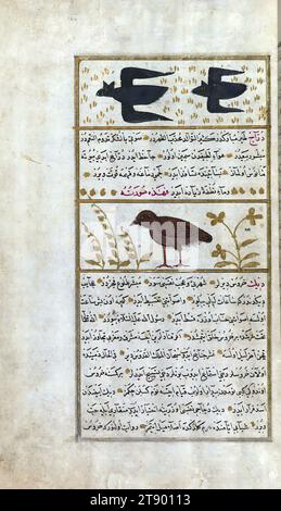 Türkische Version der Wunder der Schöpfung, zwei Fledermäuse und ein Francolin (eine Art Rebhühner), dies ist eine osmanische beleuchtete und illustrierte türkische Version von Zakarīyā al-makhlūqāt (Wunder der Schöpfung) von Qazwīnī al-ʿAjāʾib (d. 692 AH / 1293 n. Chr.), hergestellt auf Wunsch des Wesirs Murtaza Paşa (Murtaḍá Pāshā) (fl. 11. Jahrhundert AH / 17. Jahrhundert). Der Codex wurde 1121 AH / 1717 CE von Muḥammad ibn Muḥammad Shākir Rūzmah-ʾi Nāthānī fertiggestellt. Es gibt 444 Gemälde, die den Text illustrieren. Die Bindung ist nicht originell im Manuskript Stockfoto