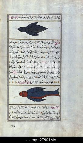 Türkische Version der Wunder der Schöpfung, zwei seltsame Fische aus der Vaynah (Vīnah?) Meers, dies ist eine osmanisch beleuchtete und illustrierte türkische Version von Zakarīyā al-makhlūqāt (Wunder der Schöpfung) von Qazwīnī al-ʿAjāʾib (d. 692 AH / 1293 n. Chr.), die auf Wunsch des Wesirs Murtaza Paşa (Murtaḍá Pāshā) (fl. Elftes Jahrhundert AH / 17. N. Chr.) hergestellt wurde. Der Codex wurde 1121 AH / 1717 CE von Muḥammad ibn Muḥammad Shākir Rūzmah-ʾi Nāthānī fertiggestellt. Es gibt 444 Gemälde, die den Text illustrieren. Die Bindung ist nicht originell im Manuskript Stockfoto