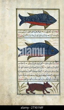 Türkische Version der Wunder der Schöpfung, ein Tier namens fāṭūs, ein anderes namens qanṭā, und ein Biber, dies ist eine osmanisch beleuchtete und illustrierte türkische Version von Zakarīyā al-makhlūqāt (Wunder der Schöpfung) von Qazwīnī al-ʿAjāʾib (d. 692 AH / 1293 n. Chr.), hergestellt auf Wunsch des Wesirs Murtaza Paşa (Murtaḍá Pāshā) (fl. elftes Jahrhundert AH / 17. n. Chr.). Der Codex wurde 1121 AH / 1717 CE von Muḥammad ibn Muḥammad Shākir Rūzmah-ʾi Nāthānī fertiggestellt. Es gibt 444 Gemälde, die den Text illustrieren Stockfoto