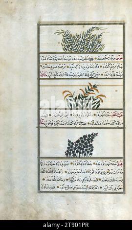 Türkische Version der Wunder der Schöpfung, Estragon, Linsen, und Fuchstrauben, dies ist eine osmanische beleuchtete und illustrierte türkische Version von Zakarīyā al-makhlūqāt (Wunder der Schöpfung) von Qazwīnī al-ʿAjāʾib (d. 692 AH / 1293 n. Chr.), hergestellt auf Wunsch des Wesirs Murtaza Paşa (Murtaḍá Pāshā) (fl. elftes Jahrhundert AH / 17. n. Chr.). Der Codex wurde 1121 AH / 1717 CE von Muḥammad ibn Muḥammad Shākir Rūzmah-ʾi Nāthānī fertiggestellt. Es gibt 444 Gemälde, die den Text illustrieren. Die Bindung ist nicht originell im Manuskript Stockfoto